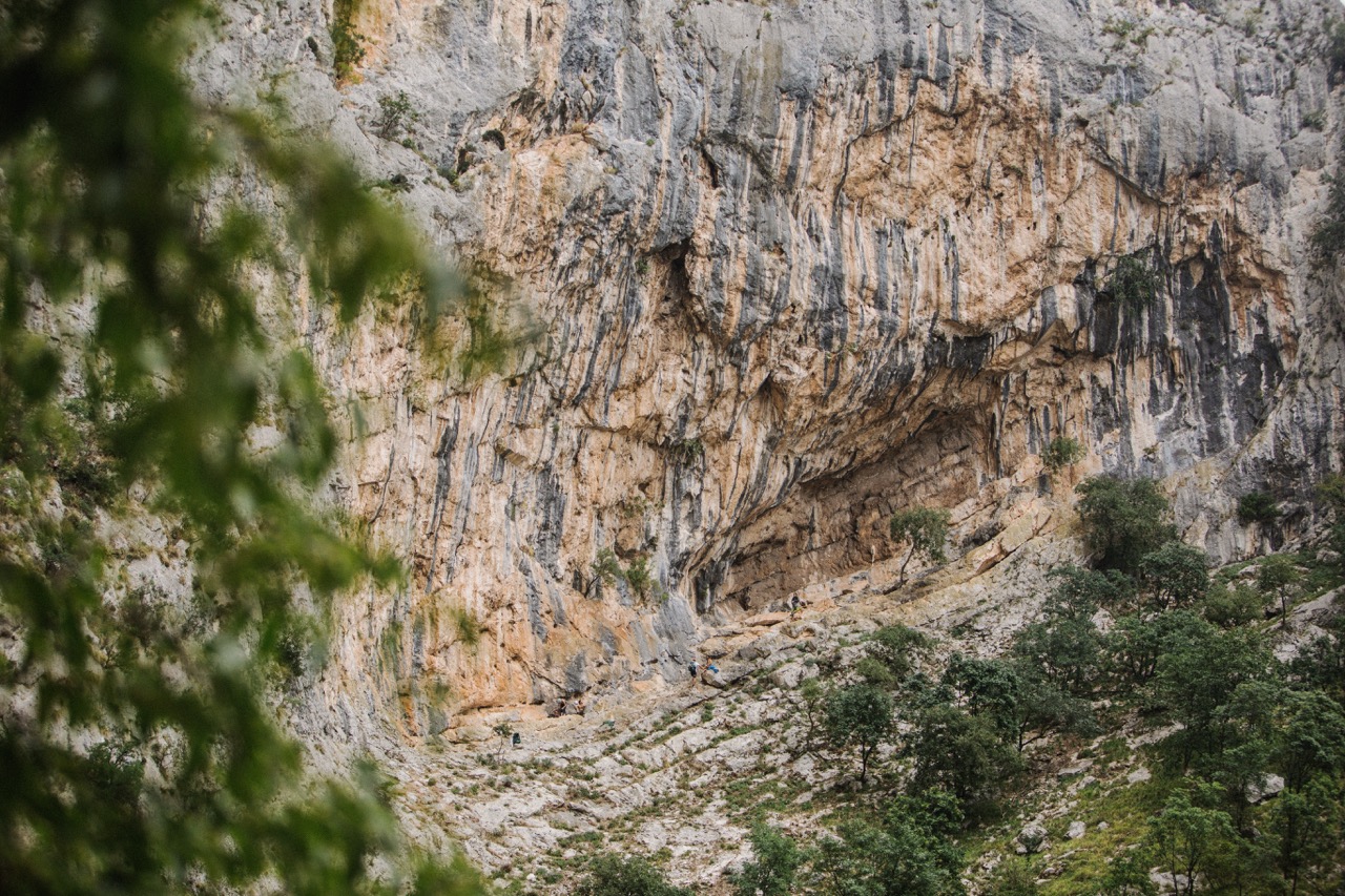 rock climbers scaling a large rugged cliff face surrounded by trees